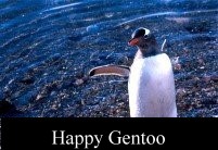 Happy Gentoo