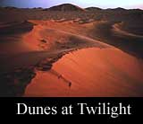Dunes at Twilight