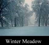Winter Meadow