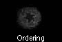  Ordering 